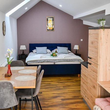 Studio Apartment Oaza Sisak Esterno foto